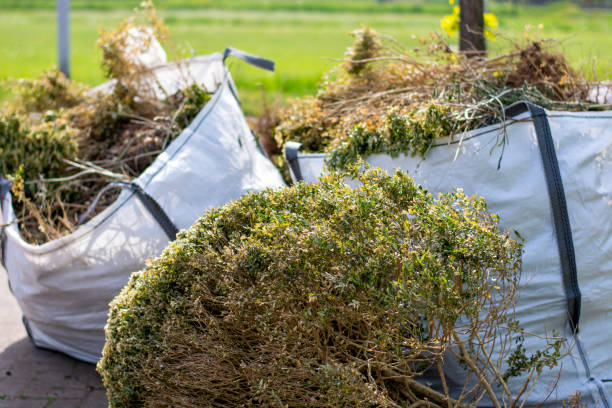 Best Residential Junk Removal  in Edwardsburg, MI