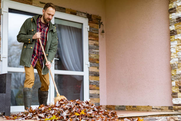 Best Construction Debris Removal  in Edwardsburg, MI